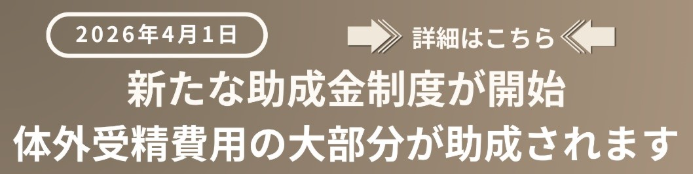 東京都助成金事業