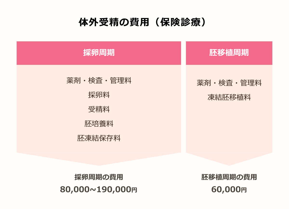 体外受精の具体的なスケジュール