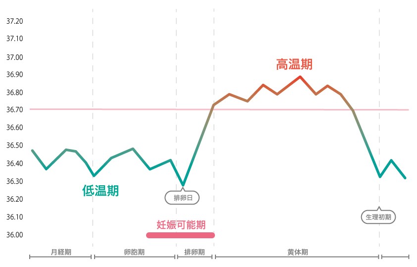 基礎体温でわかること